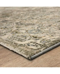 Karastan Divina Sanctum 2'6" x 7'10" Runner Area Rug