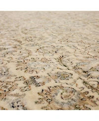 Karastan Divina Virtuous 2'6" x 7'10" Runner Area Rug