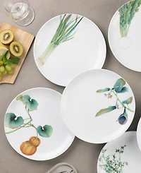 Noritake Kyoka Shunsai Assorted Salad Plates 9.5" Set/6