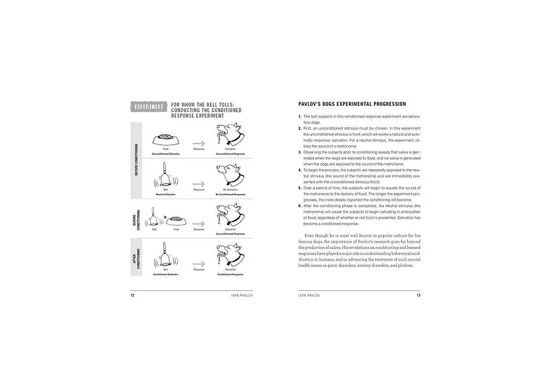 Psych 101- Psychology Facts, Basics, Statistics, Tests, and More by Paul Kleinman