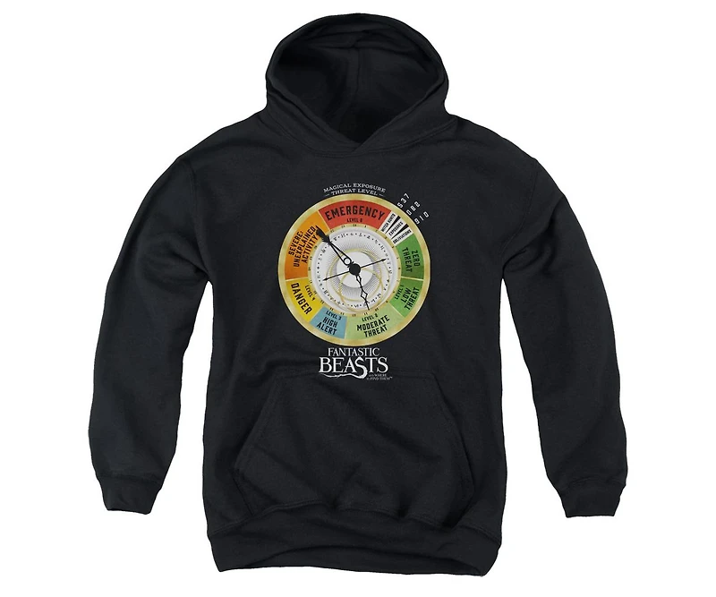 Fantastic Beasts Youth Threat Gauge Pull Over Hoodie / Hooded Sweatshirt