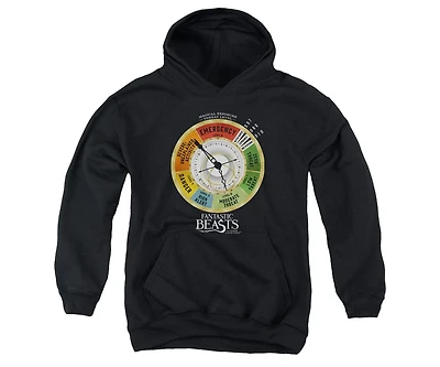 Fantastic Beasts Youth Threat Gauge Pull Over Hoodie / Hooded Sweatshirt
