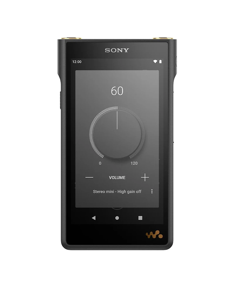 Sony Nw-WM1AM2 128GB Walkman Digital Music Player