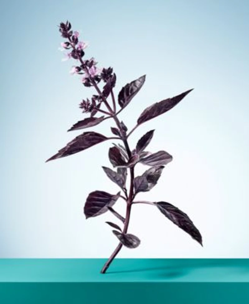Tiffany Co. Womens Tiffany Love Collection
