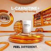 Codeage Liposomal L-Carnitine+ Supplement - 500 mg L-Carnitine L-Tartrate per Serving - Free-Form Amino Acid - Carnitine - Liposomal Delivery