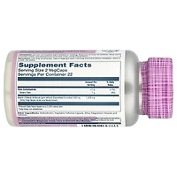 Solaray Vital Extracts Mastic Gum - 45 VegCaps (500 mg per Capsule)
