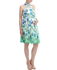 kimi + kai Maternity Norah Skater Dress