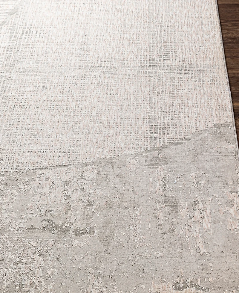 Livabliss Carmel Crl-2301 2'7x4' Area Rug