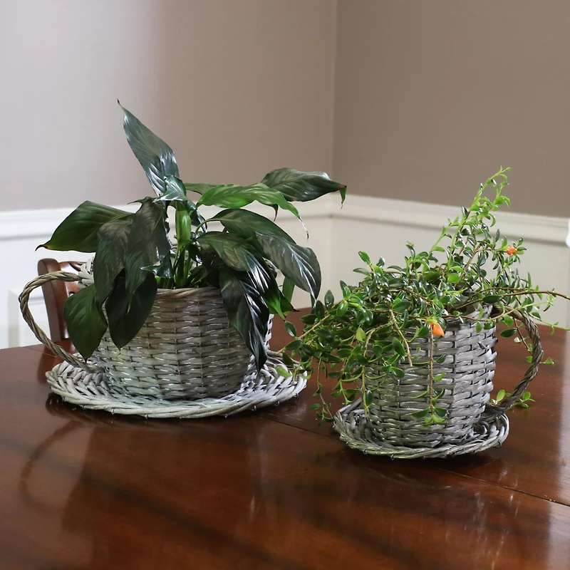 Willow Wicker Coffee Cup Indoor Planters - Gray - Set of 2