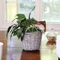 5-Piece Wicker Planter Basket Set with Handles - Plastic Lined Containers - For Indoor Use Only - Willow Wicker Construction with Steel Wire Frame