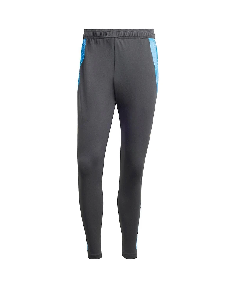Adidas Men's Gray Argentina National Team 2024 AeroReady Training Pants