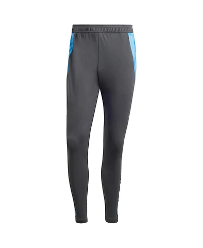 Adidas Men's Gray Argentina National Team 2024 AeroReady Training Pants