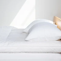 Feather & Down Plush Luxury Mattress Topper - Twin