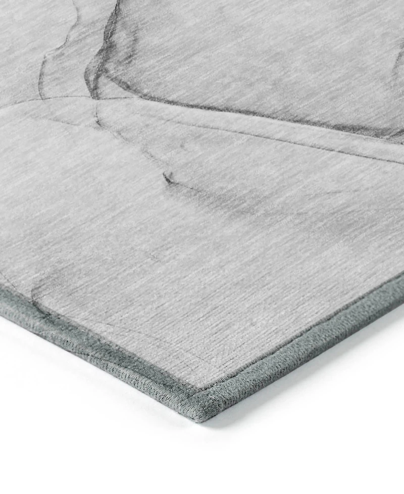 Addison Chantille Machine Washable ACN502 3'x5' Area Rug