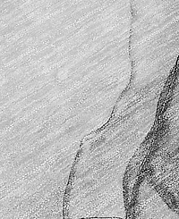 Addison Chantille Machine Washable ACN502 8'x10' Area Rug