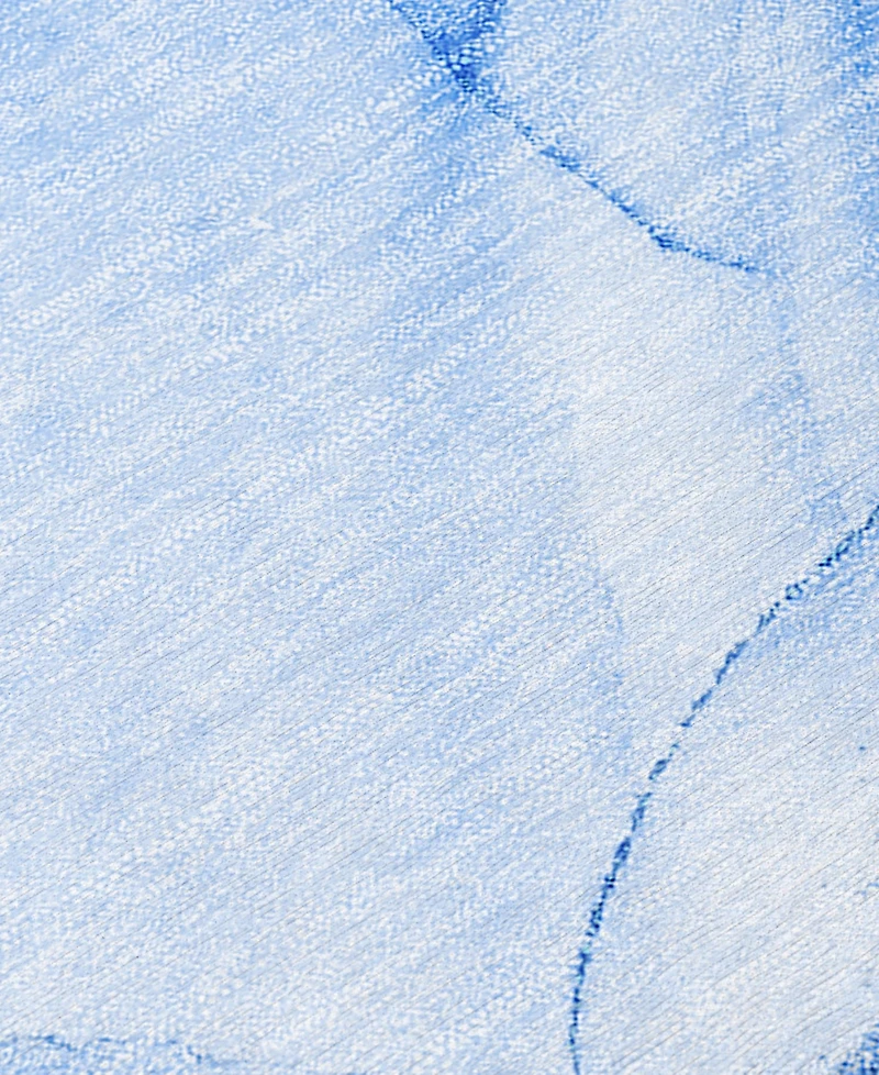 Addison Chantille Machine Washable ACN507 2'6x3'10 Area Rug