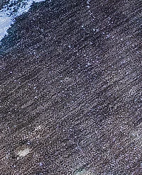 Addison Chantille Machine Washable ACN525 9'x12' Area Rug