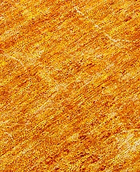 Addison Chantille Machine Washable ACN554 2'3x7'6 Runner Area Rug