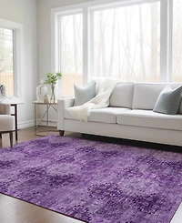 Addison Chantille Machine Washable ACN557 2'6x3'10 Area Rug