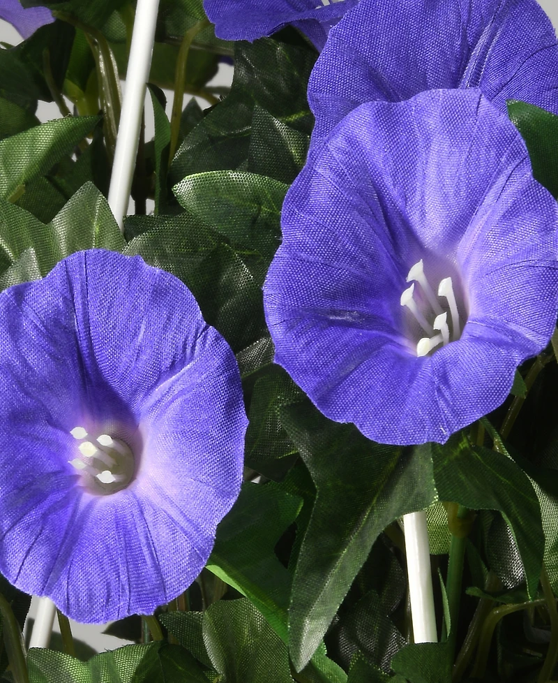 National Tree Company 44 Hanging Morning Glory Plant