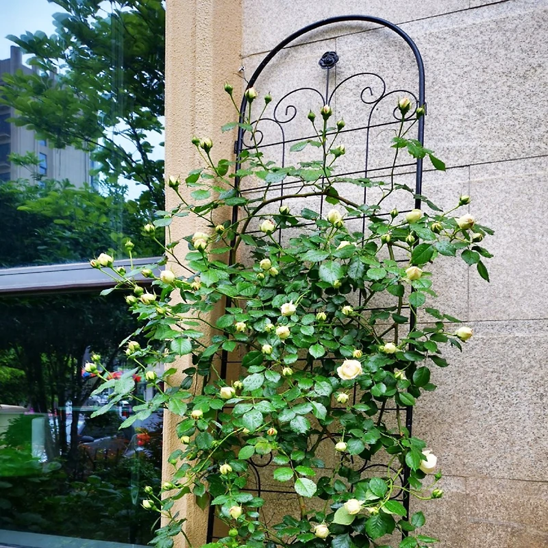Streamdale Rustproof Rose Trellis for Climbing Plants 86.7"x19.7"
