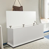 Streamdale Elegant Lift-Top Storage Chest