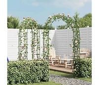 Garden Arch 2 pcs Climbing Plants