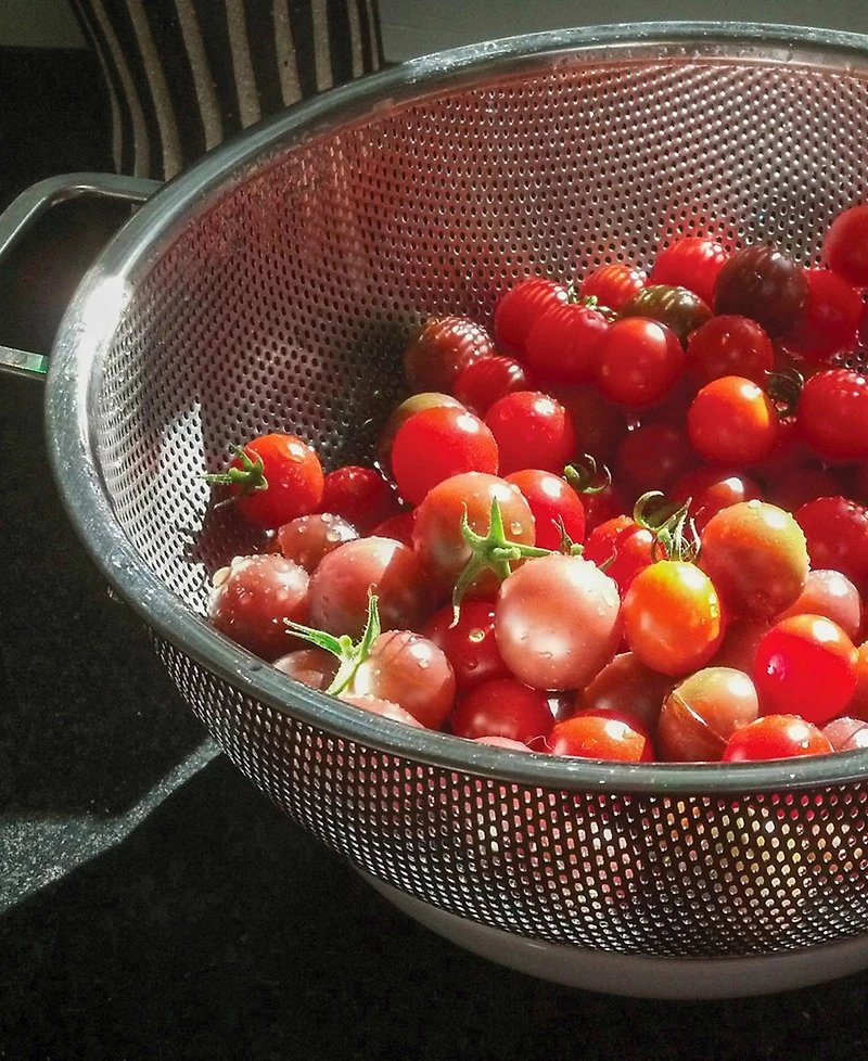 Rsvp International Endurance Precision Pierced Stainless Steel 5 Quart Colander
