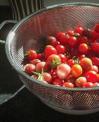Rsvp International Endurance Precision Pierced Stainless Steel 5 Quart Colander