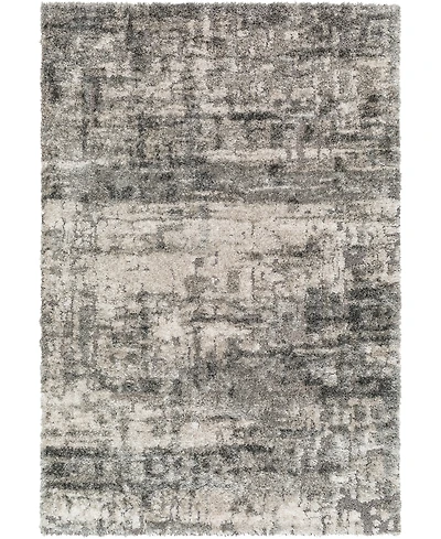 Livabliss Primo 471969 5'3"x7' Area Rug