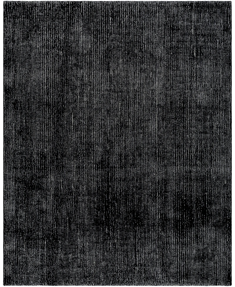 Surya Messina 7567 8'x10' Area Rug