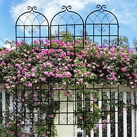 Streamdale Metal Garden Trellis 4-Pack - 86.7" x 19.7" - Rustproof - Black