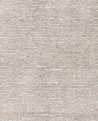 Dalyn Arcata AC1 8'x10' Area Rug