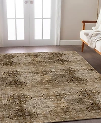 Dalyn Trevi Washable TV16 9'x12' Area Rug