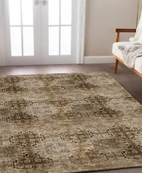 Dalyn Trevi Washable Tv16 Rug Collection