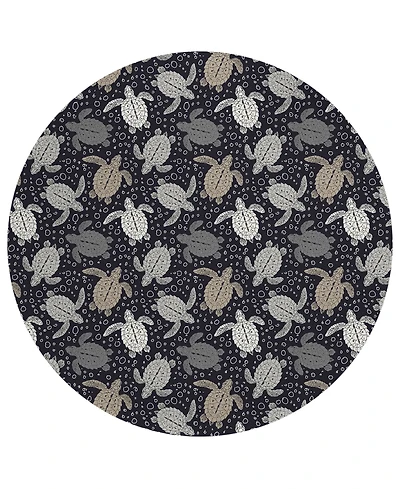 Dalyn Seabreeze Washable SZ13 8'x8' Round Area Rug