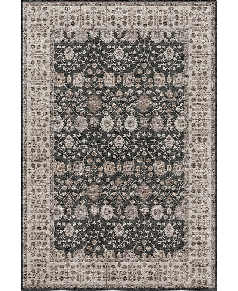 Dalyn Hatay Washable HY8 10'x14' Area Rug