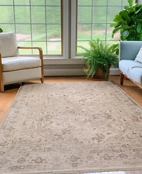 Dalyn Cyprus CY4 9'x13'2 Area Rug