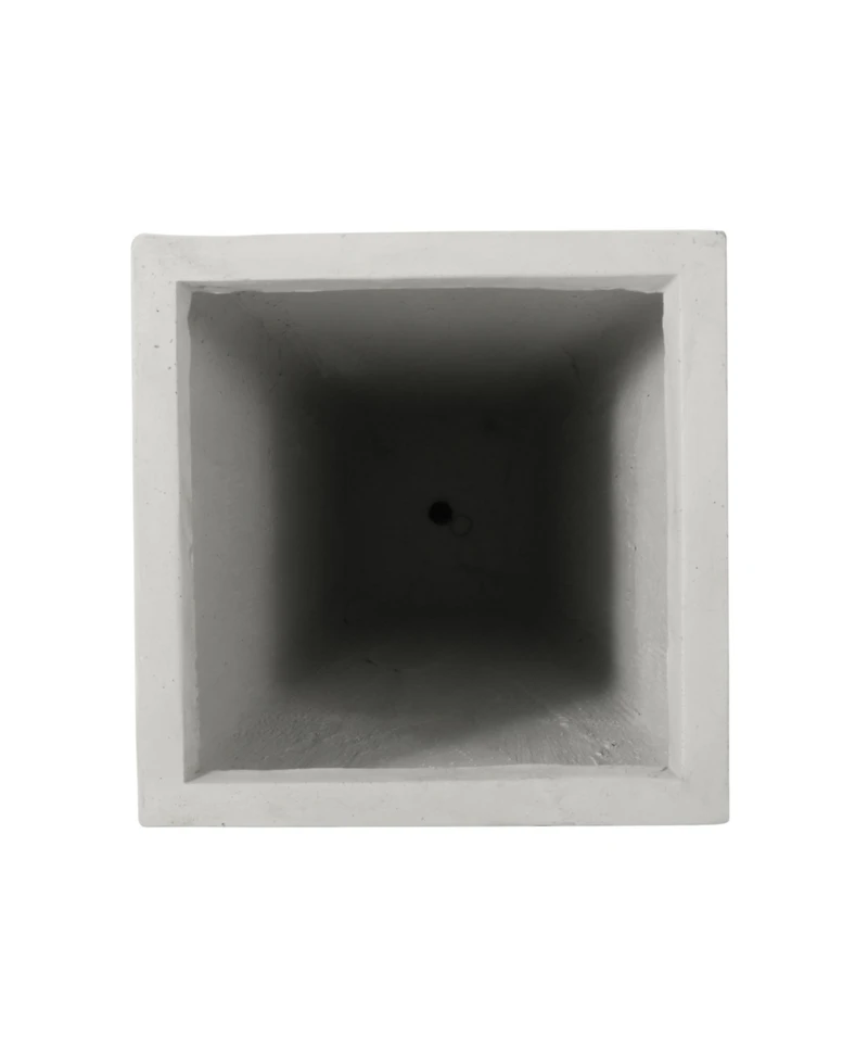 Sleek and Stylish Plant Haven Perfect Home for Your Verdant Beauties