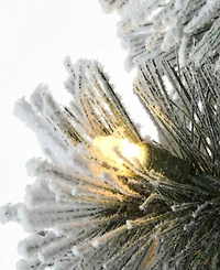 National Tree Company Pre-Lit Feel Real Snowy Pogue Pine Artificial Christmas Entrance Tree 5 ft.