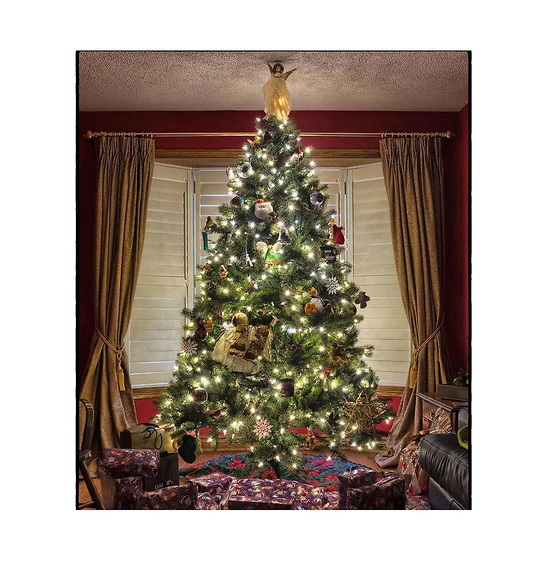 66 ft Led String Lights Battery Operated Starry Fair Rope Lights 8 Modes Remote Christmas