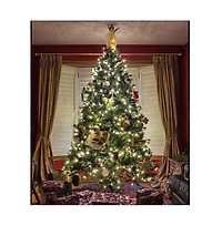 66 ft Led String Lights Battery Operated Starry Fair Rope Lights 8 Modes Remote Christmas