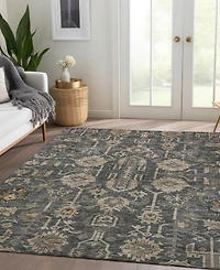 Addison Chantille Machine Washable ACN697 8'x10' Area Rug
