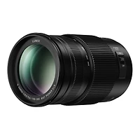 Panasonic Lumix G Vario 100-300mm f/4.0-5.6 Ii Lens for Micro Four Thirds