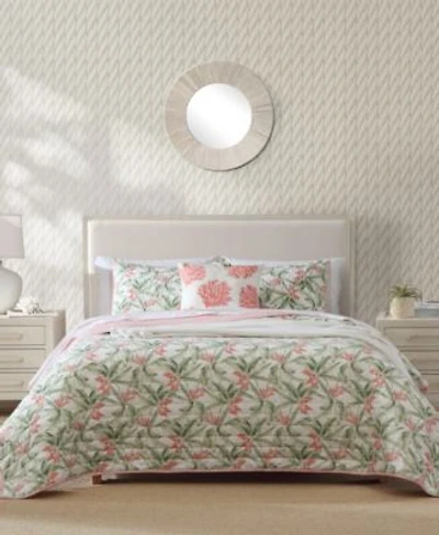 Tommy Bahama Home Acapulco Palms Reversible Quilt Sets