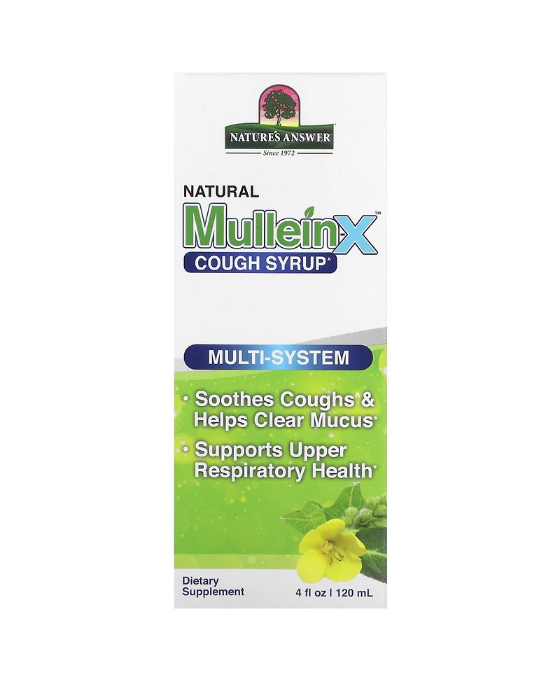 Nature's Answer Mullein-x Multi System Cough Syrup 4 Ounce | Soothes Coughs & Clears Mucus |