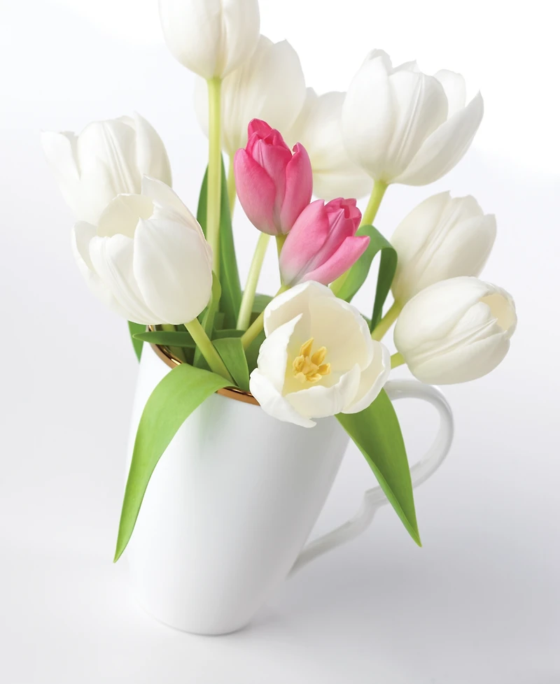Lenox Contempo Luxe Mugs, Set of 4