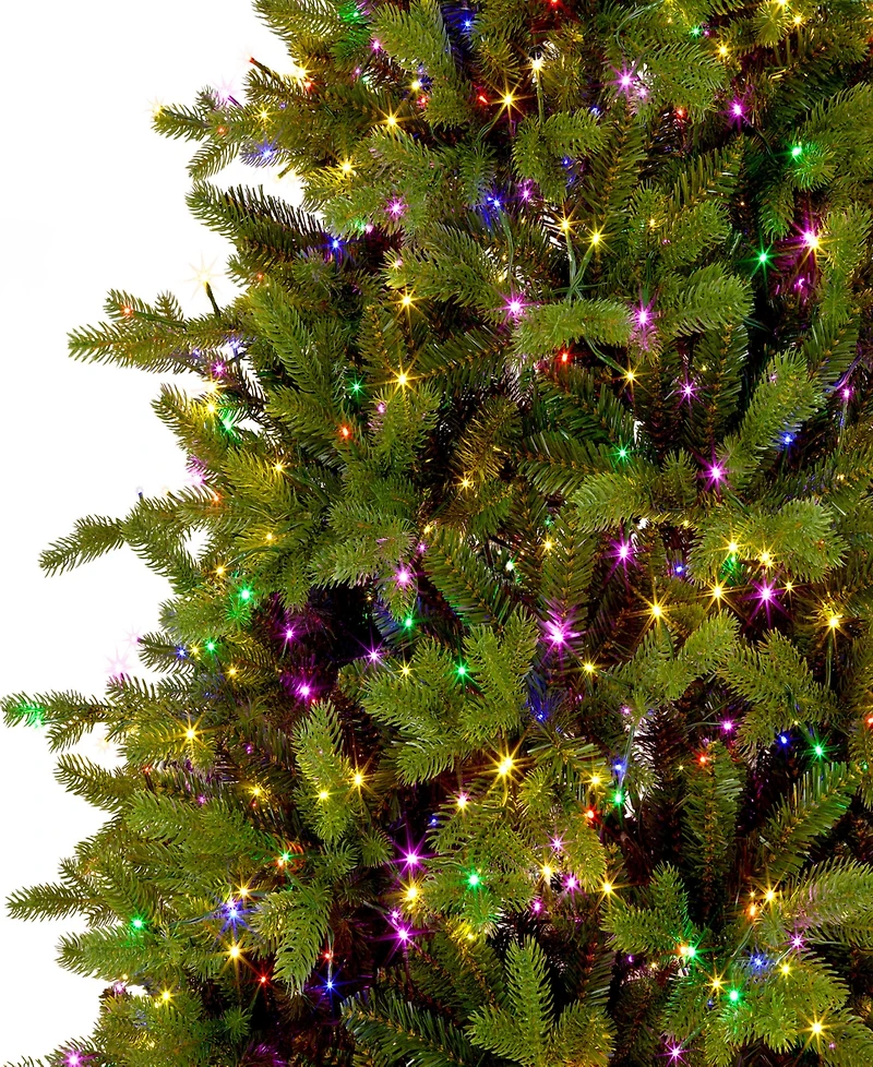 National Tree Company Princeton Fraser Fir Tree, 7.5 feet.