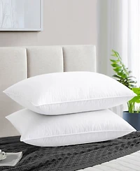 Unikome Goose Down and Feather 2-Pack Pillow