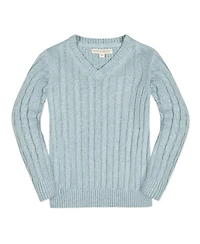 Hope & Henry Baby Boys Long Sleeve Fine Gauge Cable V-Neck Sweater